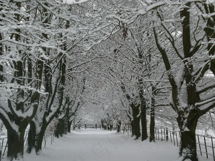 雪2
