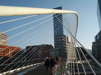 桥梁,建筑,光伏电站,太阳能发电,游乐场,卡拉特拉瓦桥