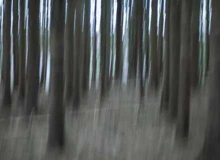 杰克·派恩潘（“故意照相机运动”）