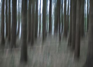 杰克·派恩潘（“故意照相机运动”）