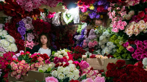 花束,花卉,花墙,郁金香,莱太花卉市场,小睡 花束,花卉,花墙,郁金香,莱太花卉市场,小睡