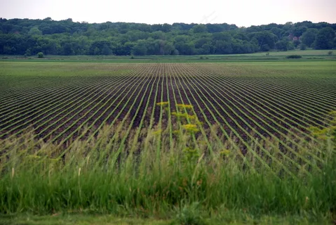 草原,水稻田,龙脊梯田,茶地,耕地,爱荷华州