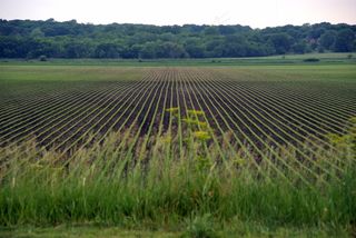 草原,水稻田,龙脊梯田,茶地,耕地,爱荷华州