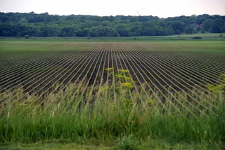 草原,水稻田,龙脊梯田,茶地,耕地,爱荷华州