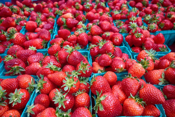 2015年波特兰农贸市场