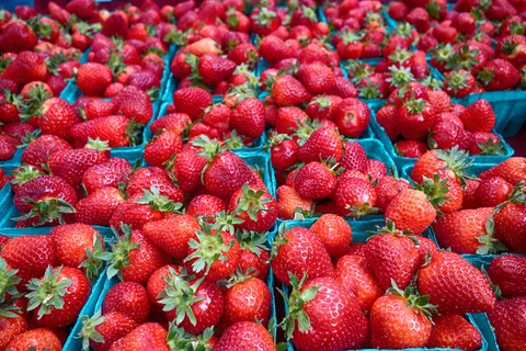 2015年波特兰农贸市场 2015年波特兰农贸市场