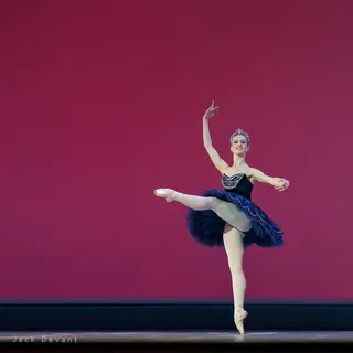 芭蕾舞,卡通动漫人物,台式电脑,玛丽塔·温纳克（Marita Weinrank）