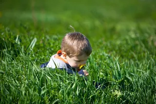 闻起来第一，味道第二