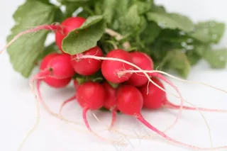 萝卜,樱桃,葡萄,花卉,车厘子,第二周-萝卜