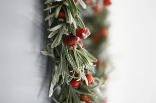 植物,玩具,红果子,自行车,摩托车,薰衣草和玫瑰果