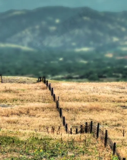 草原,戈壁,草原斑马,麦田,天空,边界-博尔德