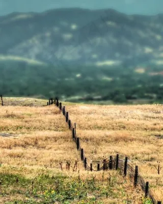 草原,戈壁,草原斑马,麦田,天空,边界-博尔德