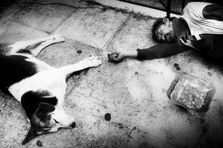 人物特写,补锅,猪圈,月球环形山,煤矿工人,流浪狗和无家可归的人