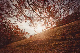 特拉斯科山区的日落
