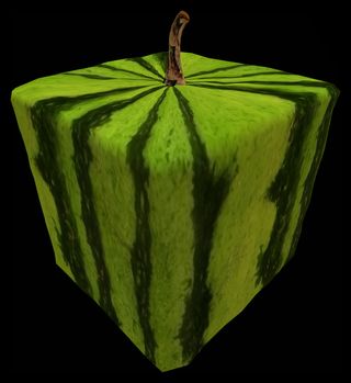 西瓜,石莱西瓜,苹果,方形西瓜,地雷瓜,雕刻方形西瓜