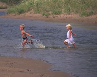 我们天生就是“自由”。为什么要承担不必要的负担？