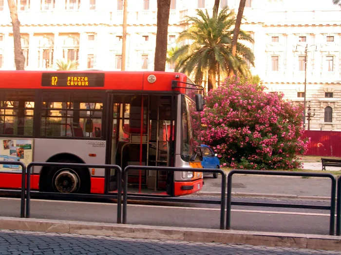 火车,公交车,自动售货机,消防车,溜冰鞋,卡沃尔广场