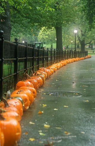 对于所有希望一年365天万圣节的小巫婆和妖精！请访问Halloweenietime.tumblr.com访问我，我会关注！