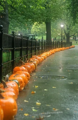 对于所有希望一年365天万圣节的小巫婆和妖精！请访问Halloweenietime.tumblr.com访问我，我会关注！