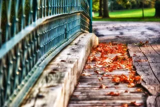 铁路轨道,长城,轿车,街道,树,在一座木桥上的叶子