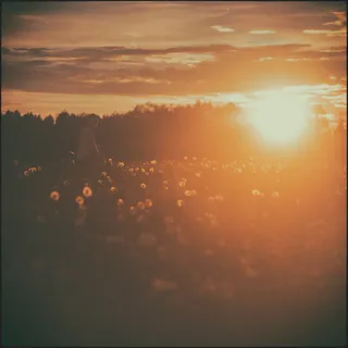 天空,霞光,灯,山峦,树,蒲公英酒[2]