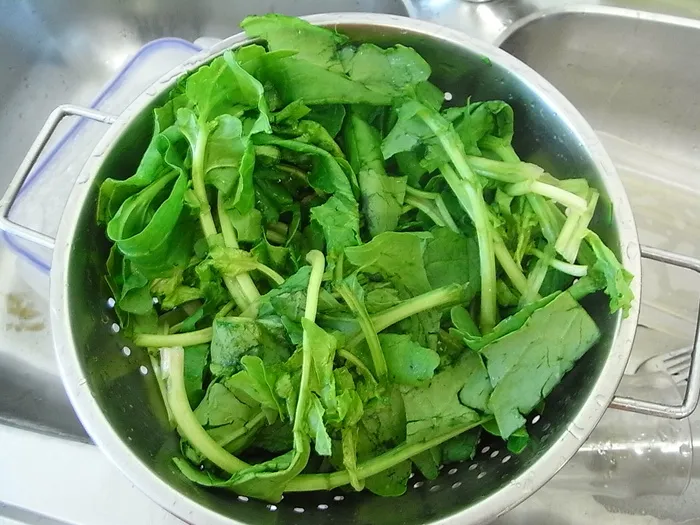 菠菜