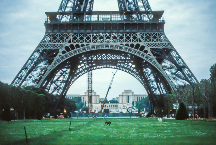 埃菲尔铁塔（La Tour Eiffel），法国巴黎，约1981年