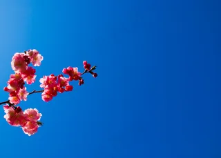 蓝天，对我微笑