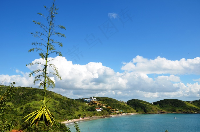 天空,树,风景,图画,湖泊,普拉亚·布拉瓦（Praia Brava）