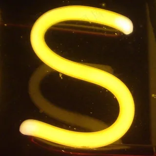 霓虹灯,蛔虫,梨形环,线虫,金花蛇,s