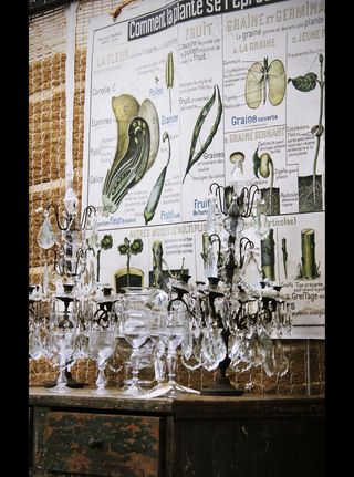 卡通动漫人物,屏幕截图,图画,报纸杂志,女王骑士物语,彼得舍姆苗圃