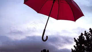 雨伞,雨具,遮阳伞/雨伞,摄影反光伞,遮阳伞,春季阵雨