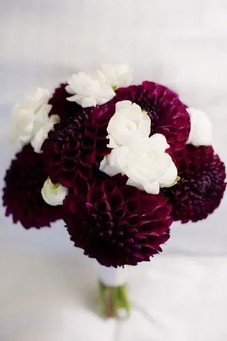 花束,花卉,头饰,菊花,新娘捧花,羽毛白花束