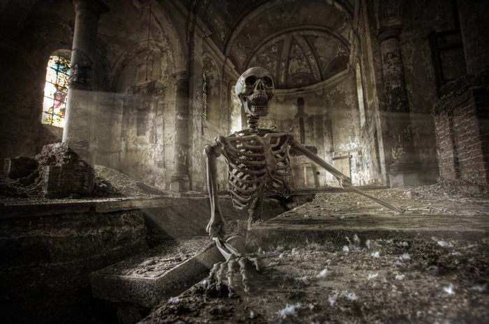 鸟类,树,电风扇,吸顶灯,灯,从地狱回来！