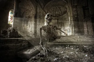 鸟类,树,电风扇,吸顶灯,灯,从地狱回来！