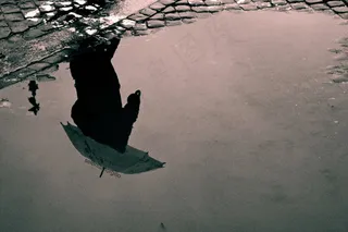 屏幕截图,树,鸟类,卡通动漫人物,玩滑板,下雨