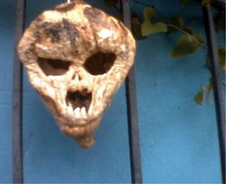 外星人太空南瓜入侵flickr [最新新闻]