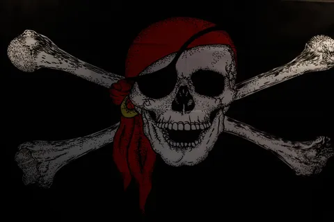 骷髅,手,骷髅头,玩具,海盗旗