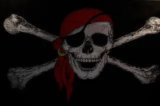 骷髅,手,骷髅头,玩具,海盗旗