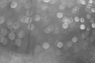 地板砖,管水母目动物,模糊图片,床单,吸顶灯,胀