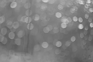 地板砖,管水母目动物,模糊图片,床单,吸顶灯,胀