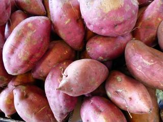 甘薯,紫薯,红薯,地瓜,番薯,红薯