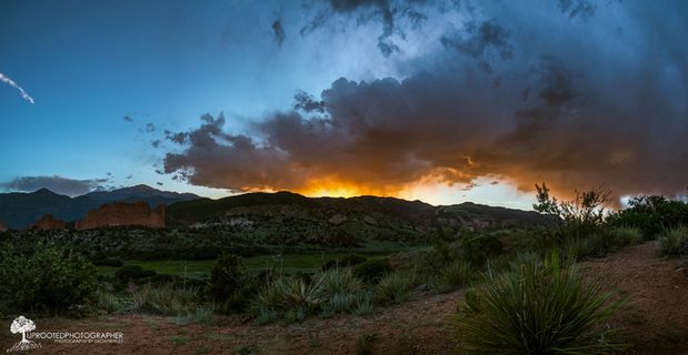 树,风景,天空,山峦,众神花园全景