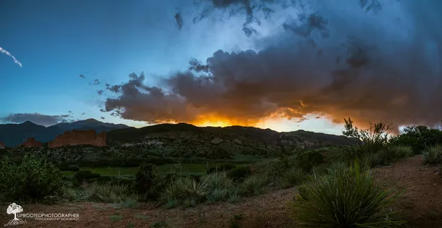 树,风景,天空,山峦,众神花园全景