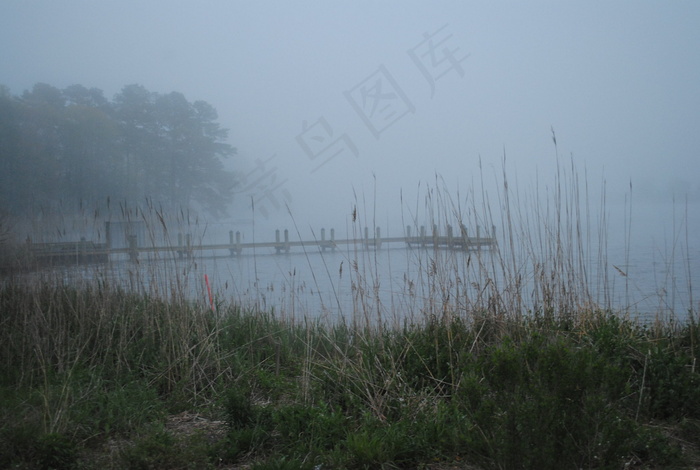 树,江河,天空,雨雾,风景,特拉华州贝维尔Old Mill Bridge Road