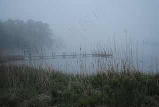 树,江河,天空,雨雾,风景,特拉华州贝维尔Old Mill Bridge Road