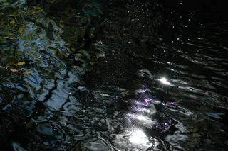 宇宙天文,树,洞穴溶洞,桌面花纹,雨景,水妖精