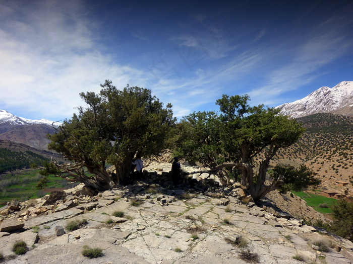 山峦,三关口,历史遗迹,峡谷,短叶丝兰木,艾特·布格梅兹（Ait Bougmez）