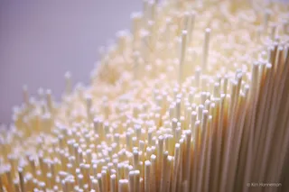 金针菇,棉签,吊灯,面条,珠帘,Somen