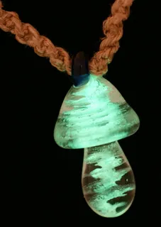 魔法蘑菇-在黑暗中发光-